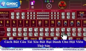 Cách Bắt Cầu Tài Xỉu Bất Bại Dành Cho Hội Viên Thử Sức