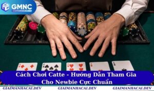 Cách Chơi Catte - Hướng Dẫn Tham Gia Cho Newbie Cực Chuẩn