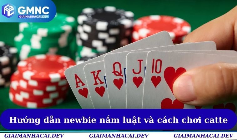 Cách Chơi Catte - Hướng Dẫn Tham Gia Cho Newbie Cực Chuẩn 2 Hướng dẫn newbie nắm luật và cách chơi catte
